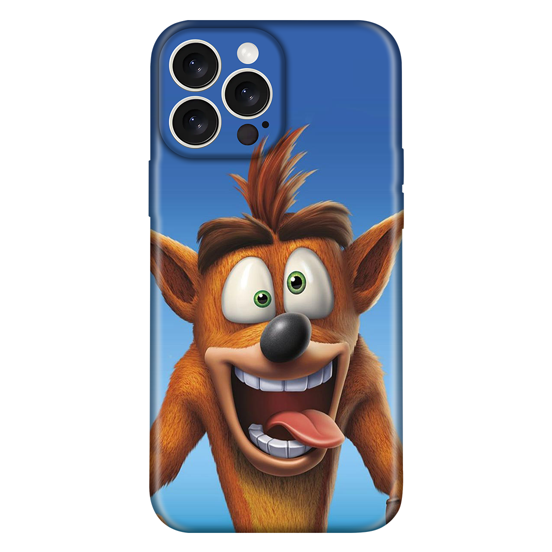 Crash Bandicoot Cartoon Case