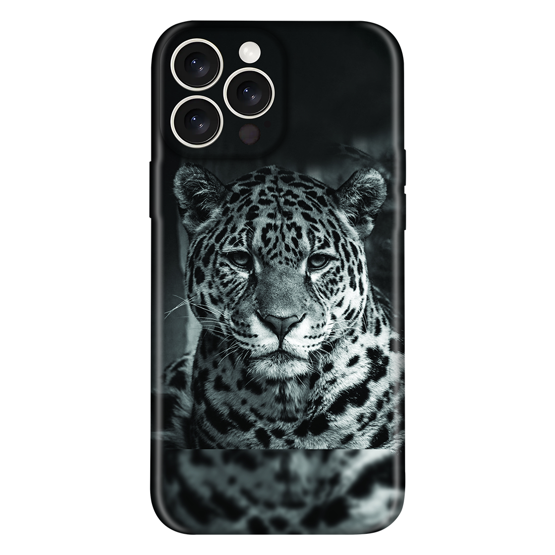 Melanistic Majesty Case