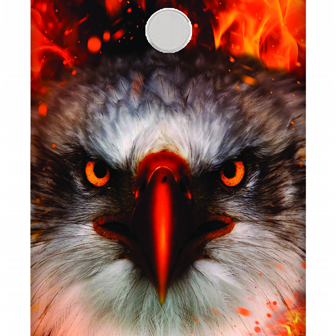 Fiery Gaze Case Xiaomi Redmi Y1