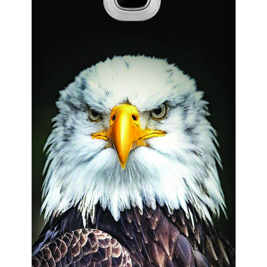 Majestic Bald Eagle Portrait Case Samsung Galaxy J2 (2016)
