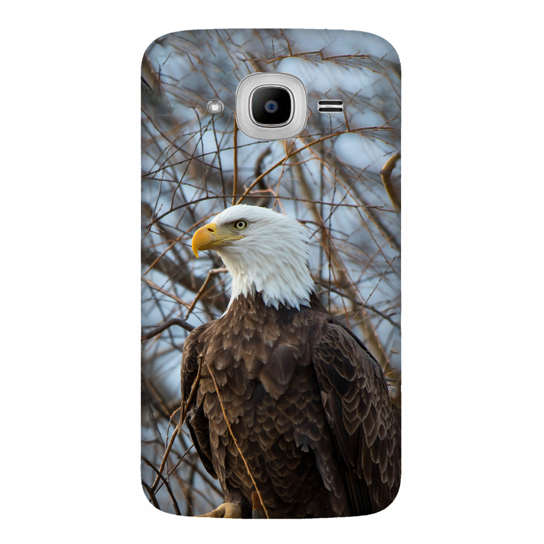Majestic Eagle Amidst Bare Branches Case Samsung Galaxy J2Pro (2016)
