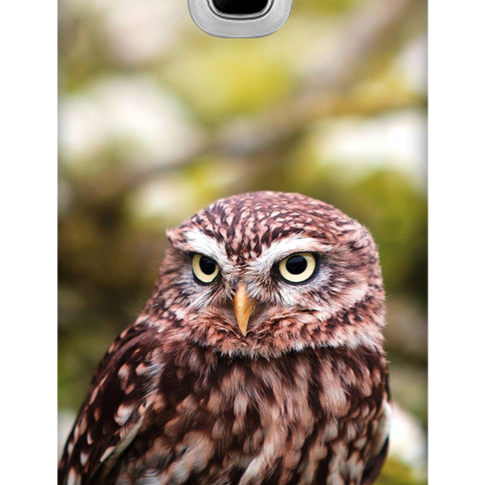 Owl Amidst Blossoms Case Samsung Galaxy J2 (2016)