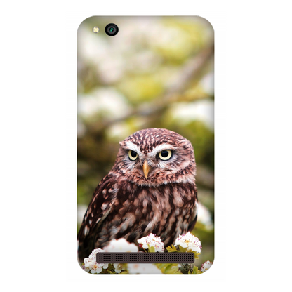 Owl Amidst Blossoms Case Xiaomi Redmi 5A