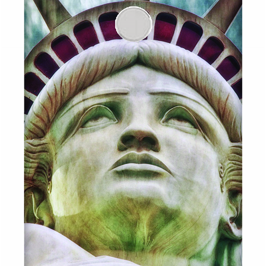 Statue of Liberty Case Xiaomi Redmi Y1