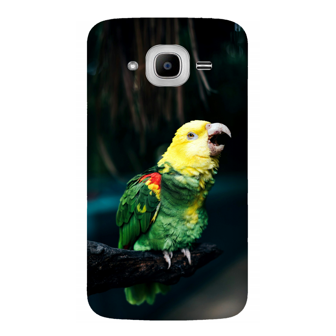 Vocalizing Vibrance: A Parrot Portrait Case Samsung Galaxy J2Pro (2016)