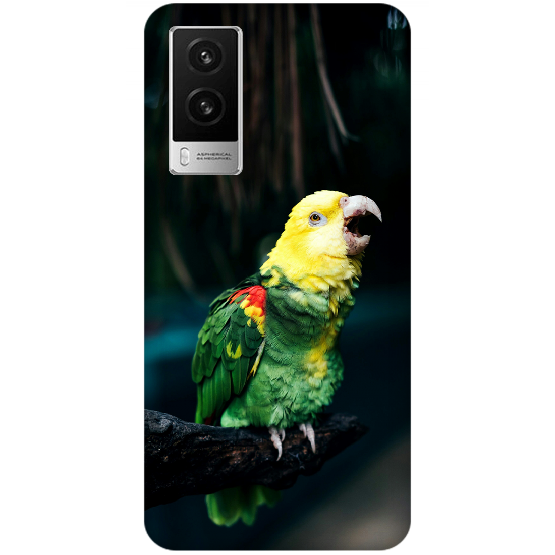Vocalizing Vibrance: A Parrot Portrait Case vivo V21e 5G